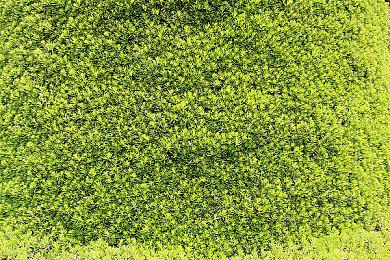 经典RPG《基因制造2》重制版登陆PC 追加更多新要素