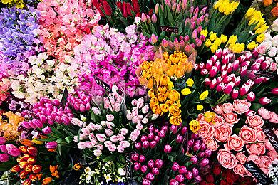 《对马岛之鬼》发售一周年 官方统计数据发布及传奇皮肤回归